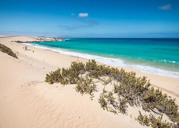 Home2book Charming Private Pool Aloha *